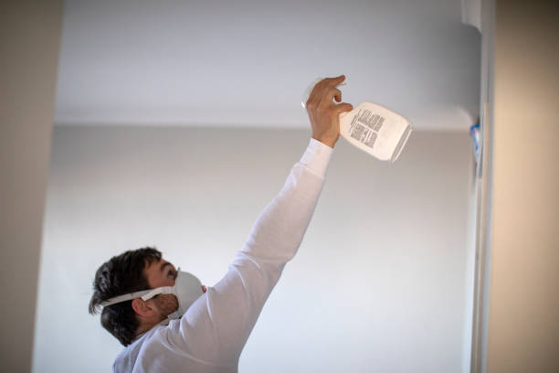 Best Mold Damage Repair  in Bushnell, FL