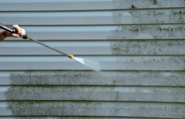 Best Home Mold Removal  in Bushnell, FL