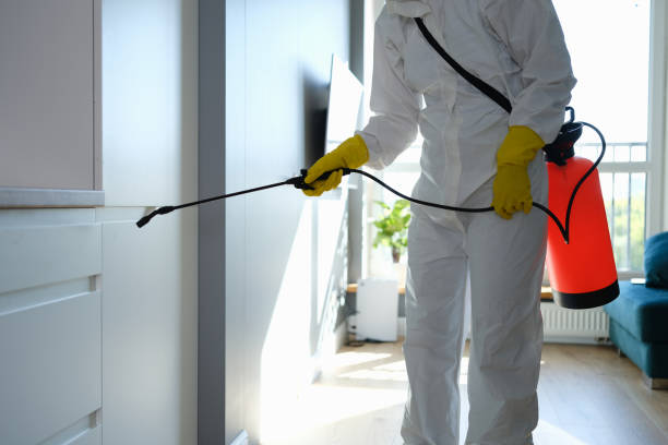 Best Office Mold Removal Services  in Bushnell, FL