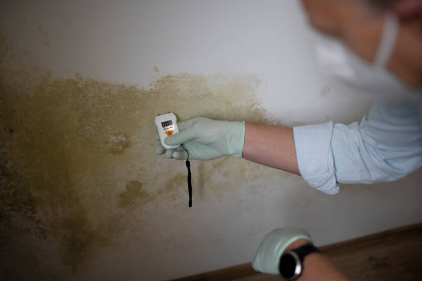 Water Damage Restoration in Bushnell, FL