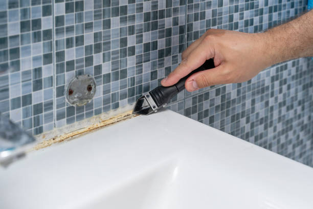 Best Mold Removal Process  in Bushnell, FL
