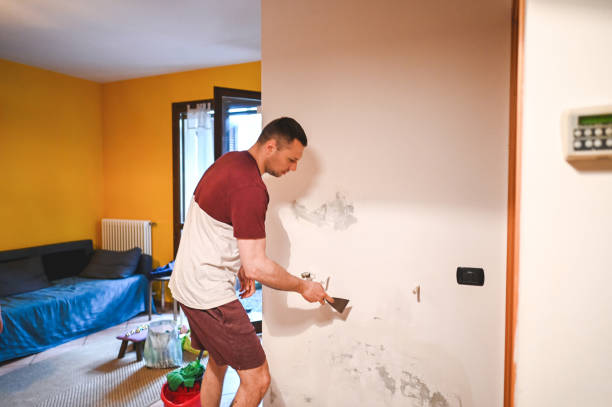 Best Mold Remediation  in Bushnell, FL